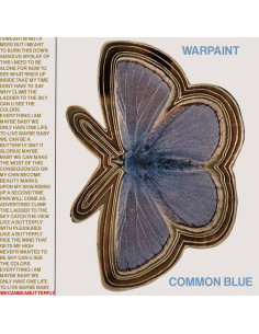 Warpaint - Common Blue Underneath
