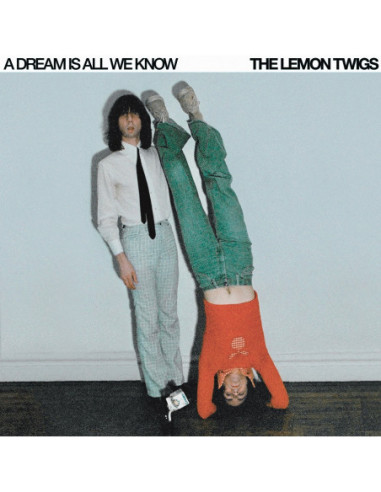 Lemon Twigs - A Dream Is All We Know...