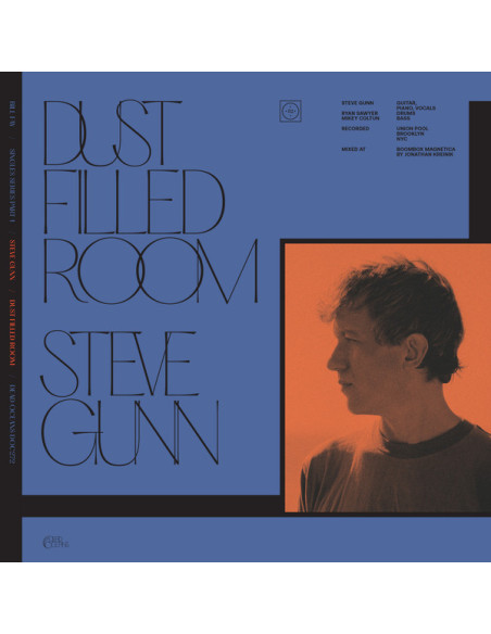 Fay Bill, Steve Gunn - Dust Filled Room (7p)