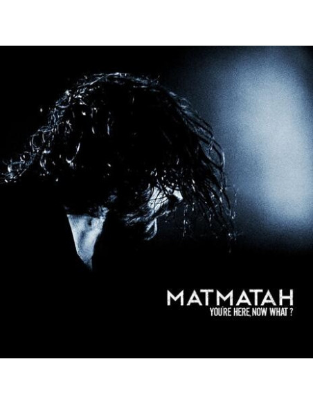 Matmatah (2Lp) - Your'Re Here, Now What ? (2 Lp)
