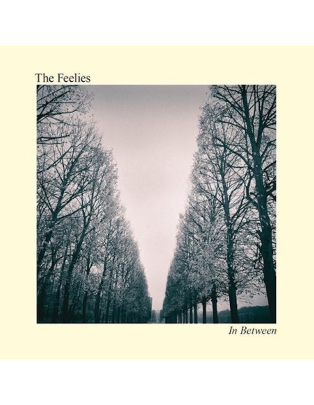 Feelies The - In Between