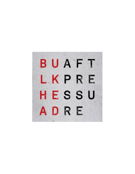 Bulkhead - Aft Pleasure