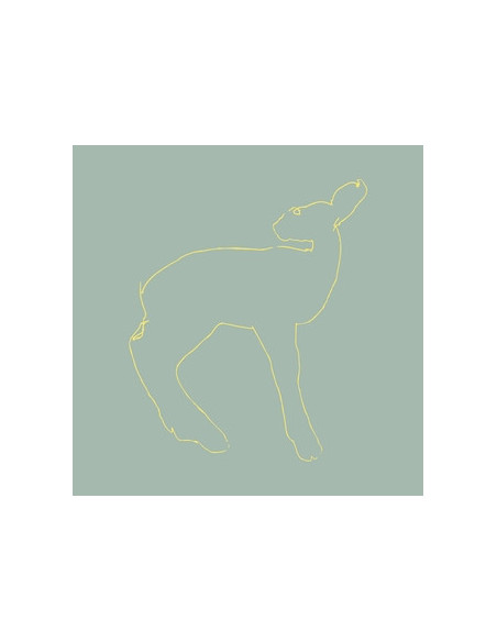 Songs: Ohia - Hecla and Griper (Reissue)