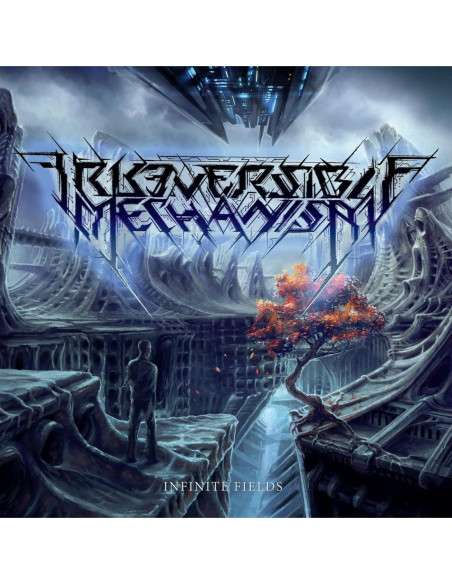 Irreversible Mechani - Infinite Fields