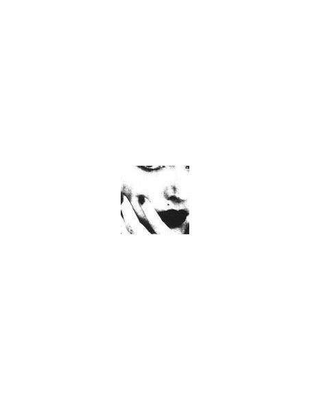 Ciccone Youth - Whitey Album