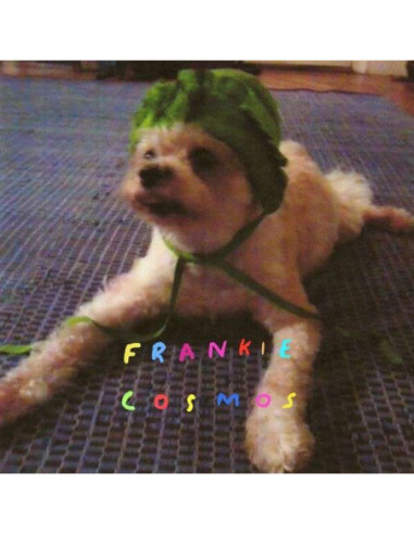 Frankie Cosmos - Zentropy