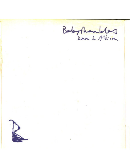 Babyshambles - Down In Albion