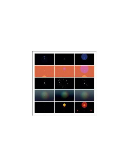 Continuum-Vv.Aa. - 7p-Dvd-Rsd