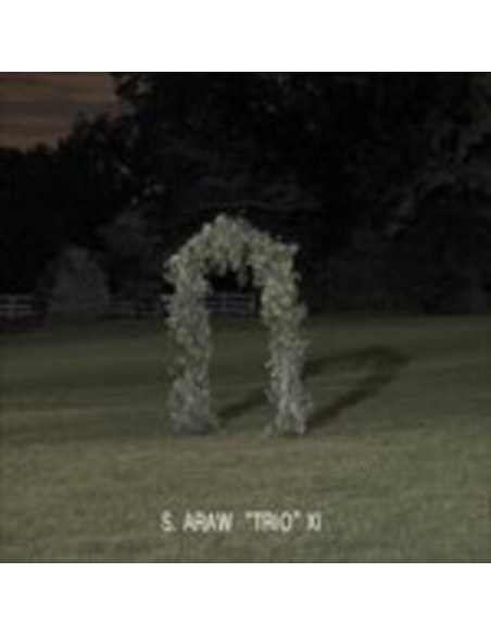 Sun Araw pTriop Xi - Gazebo Effect