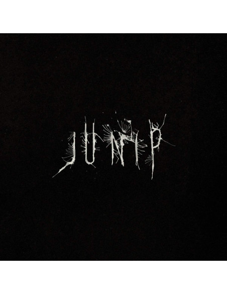Junip - Junip