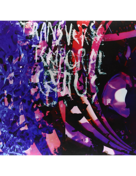 Animal Collective - Transverse Temporal Gyrus