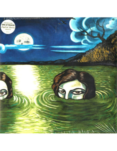 Drive By Truckers - English Oceans