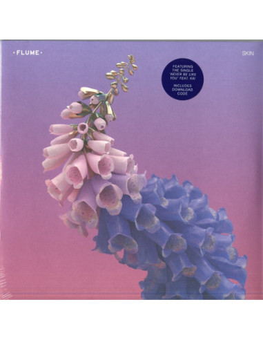 Flume - Skin