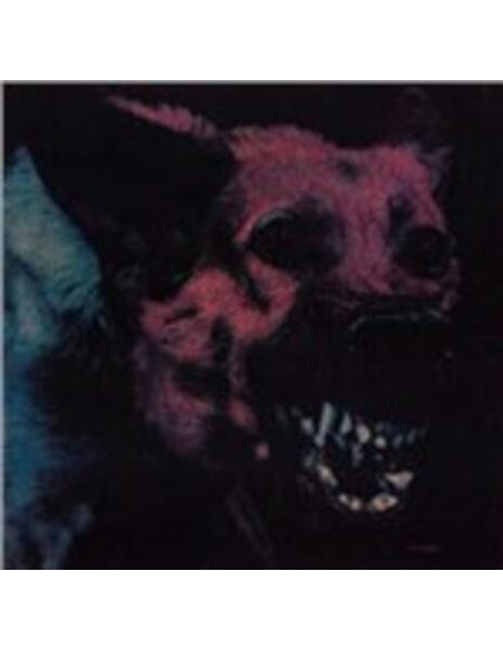 Protomartyr - Under Color Of Official Right