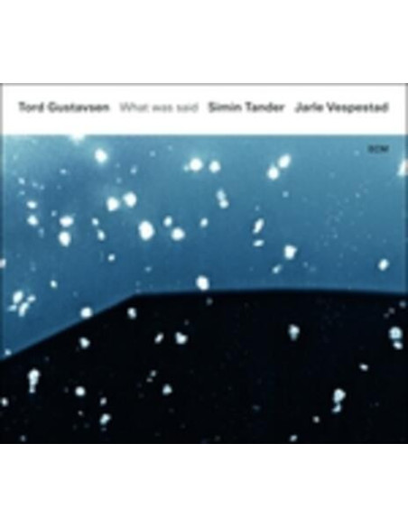 Gustavsen Tord - What Was Said
