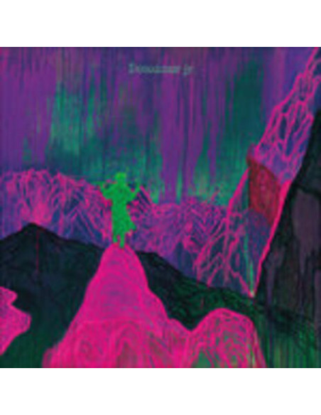 Dinosaur Jr. - Give A Glimpse Of What Yer Not
