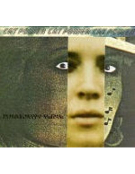 Cat Power - What Would The Comunity Think