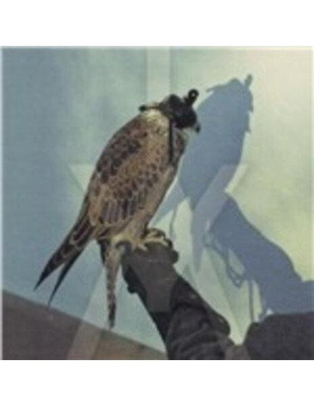 Iceage - You'Re Nothing