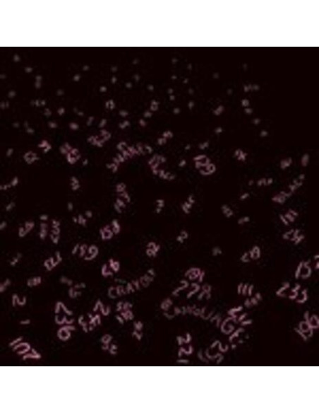 Red Krayola Whit Art And Language - Black Snakes