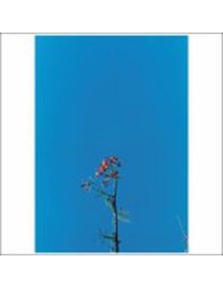 Joanna Newsom - And The Ys Street Band