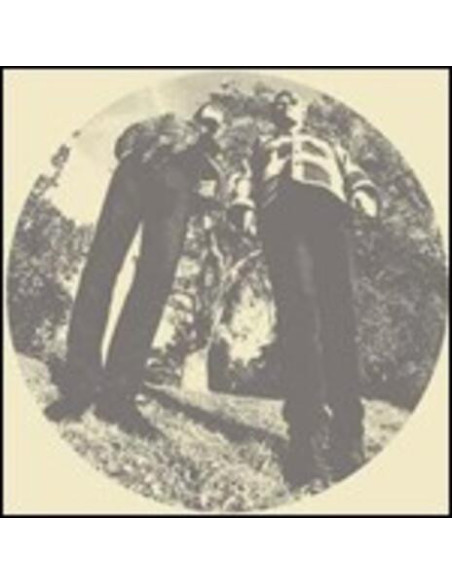 Ty Segall and White Fence - Hair
