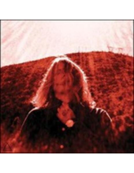 Ty Segall - Manipulator