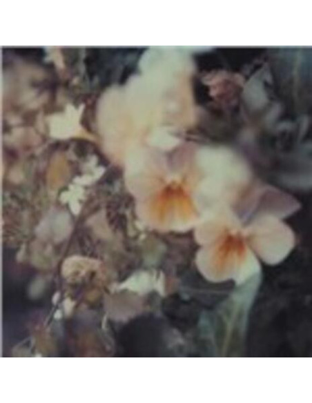 Every Hidden Colour - Luz