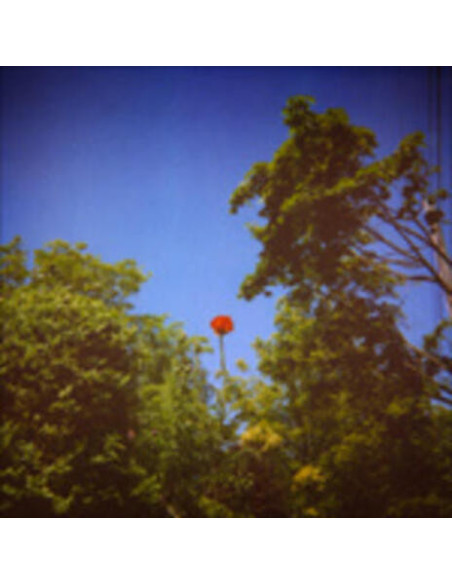 Pioulard, Benoit - Sonnet
