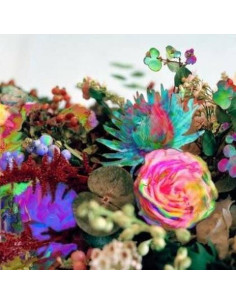 Darkstar - News From Nowhere