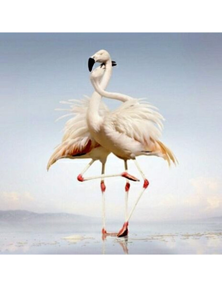 Rustie - Green Language