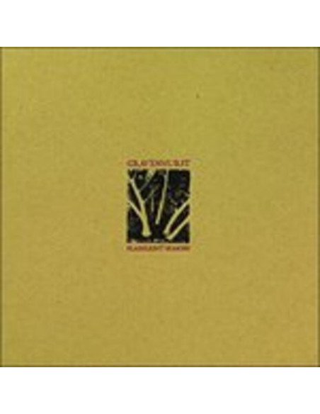 Gravenhurst - Flashlight Seasons