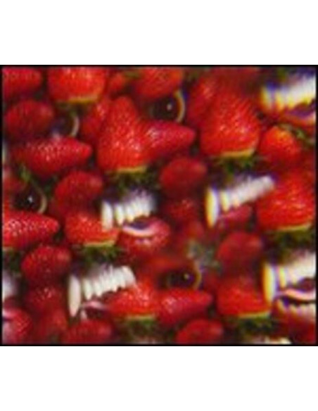 Thee Oh Sees - Floating Coffin