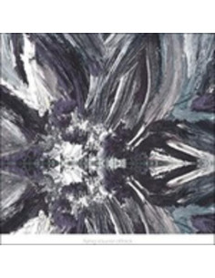 Flying Saucer Attack - Instrumental 2015