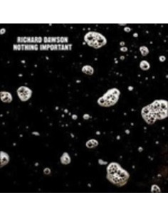 Dawson Richard - Nothing Important