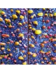 Pick A Piper - Pick A Piper