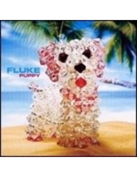 Fluke - Puppy