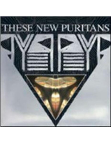 These New Puritans - Beat Pyramid