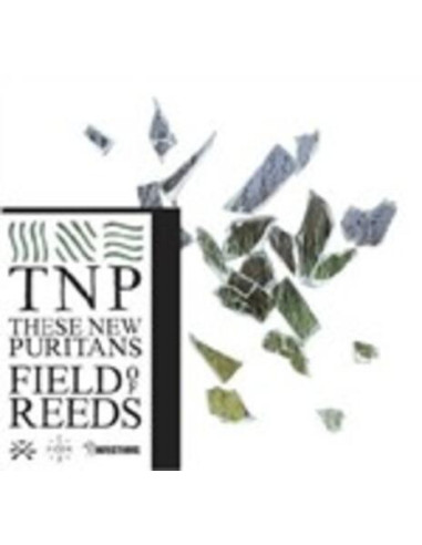 These New Puritans - Fields Of Reeds