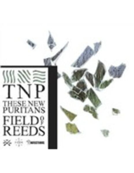 These New Puritans - Fields Of Reeds