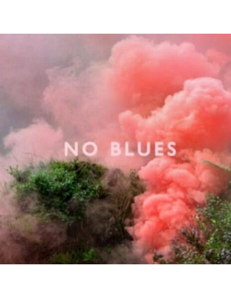 Los Campesinos - No Blues