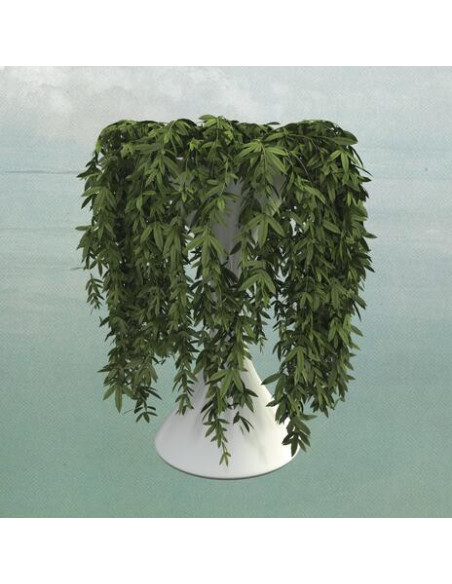 Errors - Lease Of Life