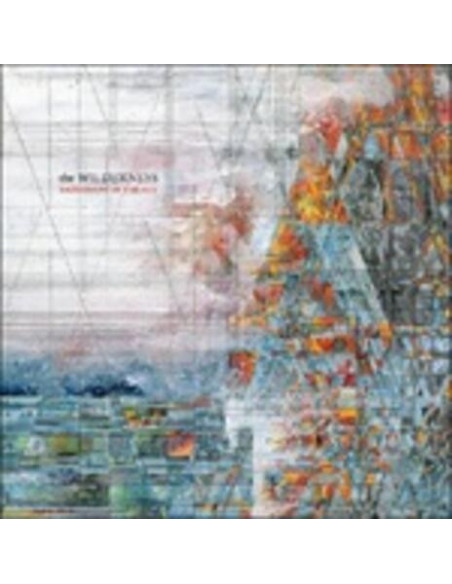 Explosions In The Sky - The Wilderness