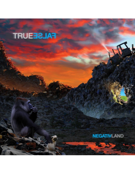 Negativland - True False