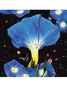 Louise, Sarah - Nighttime Birds And Morning Stars