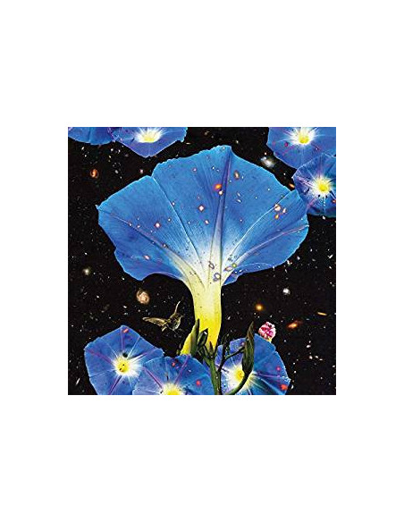 Louise, Sarah - Nighttime Birds And Morning Stars