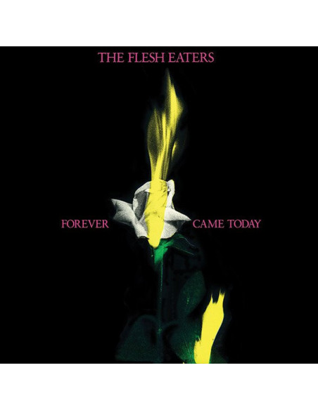Flesh Eaters - Forever Came Today