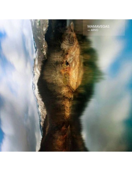 Mamavegas - Arvo (Vinile)