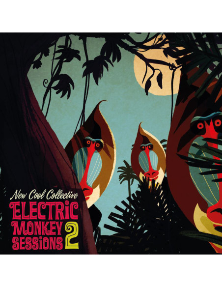 New Cool Collective - Electric Monkey Sessions2