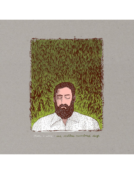 Iron And Wine - Our Endless Numbered Days