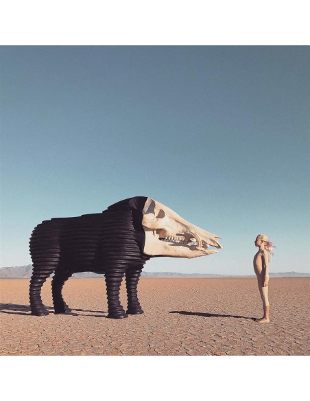 Man Man - Dream Hunting In The Valley Of The In-Betweens
